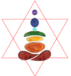 Vedic And Holistic Wellbeing Institute